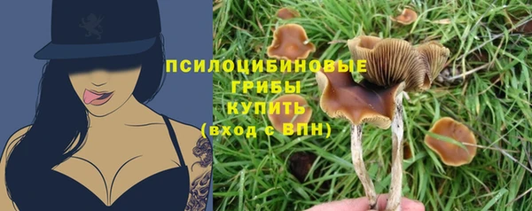 спиды Абинск