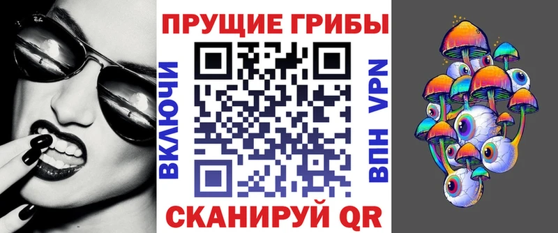 где продают   Заволжье  Псилоцибиновые грибы ЛСД 