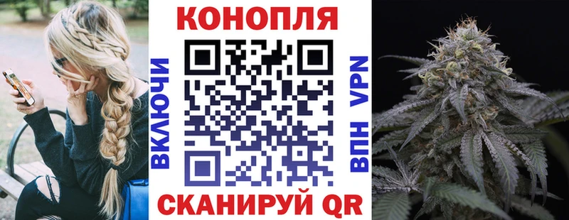 где купить наркоту  Заволжье  Канабис тримм 